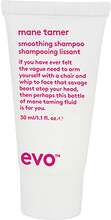 Evo Mane Tamer Smoothing Shampoo 30 ml