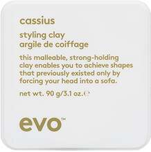 Evo Cassius Styling Clay 90 g