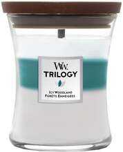 WoodWick Trilogy Icy Woodland Medium