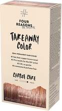Four Reasons Take Away Color 6.4 Carrot Cake