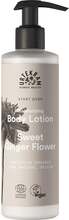 Urtekram Sweet Ginger Flower Body Lotion 245 ml