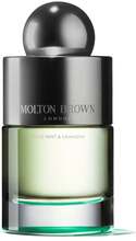 Molton Brown Wild Mint & Lavandin Eau de Toilette - 100 ml