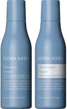 Björn Axén Repair Travel Size duo