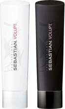 Sebastian Professional Volupt Kit Shampoo 250 ml & Conditioner 250 ml