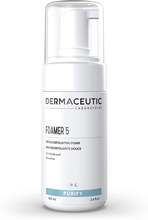 Dermaceutic Foamer 5 Gentle Exfoliating Cleansing Foam 100 ml