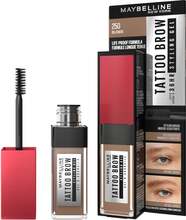 Maybelline Tattoo Brow 36H Styling Gel Blonde 250 - 6 ml