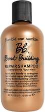 Bumble & Bumble Bond-Building Shampoo Shampoo - 250 ml