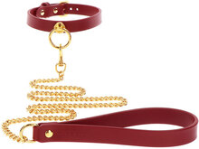 Taboom O-ring Collar and Chain Leash