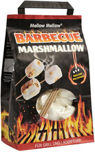 BBQ Marshmallows med Grillpinnar