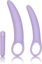 Isabelle Set of 2 Dilators