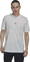 Adidas Padel Graphic Tee White