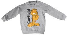 Garfield Kids Sweatshirt, Sweatshirt