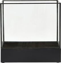 House Doctor - Display box, Plant, Svart antikvitet, 21x30x30 cm