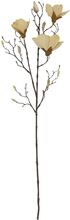 Konstväxt Magnolia 85 cm naturvit House Doctor