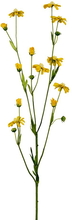 Konstväxt Rosenskära 65 cm gul