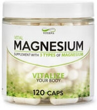 Magnesium, 120 kapslar, Viterna