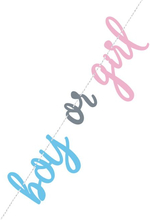 Boy or Girl Gender Reveal Banner med 2,1 meter Tråd