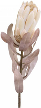 Chic Antique Protea blomst