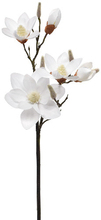 La Vida Magnolia gren - hvid
