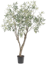 Silk-ka Oliventræ - 198 cm