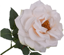 Silk-ka Rose - champagne - 36 cm