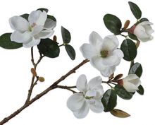 Silk-ka Magnolia - white/green - 74 cm