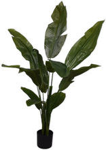 Silk-ka Strelitzia - 150 cm