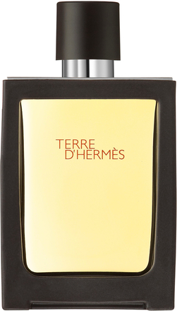 Terre D'Hermès Travel Spray Eau De Toilette 30 ml