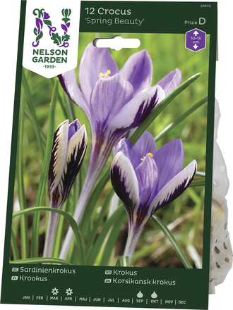 Höstlök Nelson Garden Sardinienkrokus Spring Beauty Lila