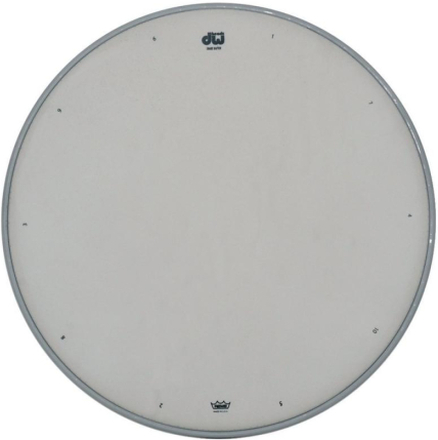 DW Snare drum head White coated 12" CW-12