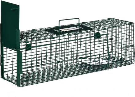 Gabbia trappola per animali vivi con porta singola, 60x18x20cm, verde