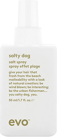Evo Salty Dog Salt Spray 50 ml