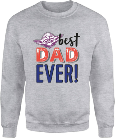Best Dad Ever! Sweatshirt - Grey - L - Grey