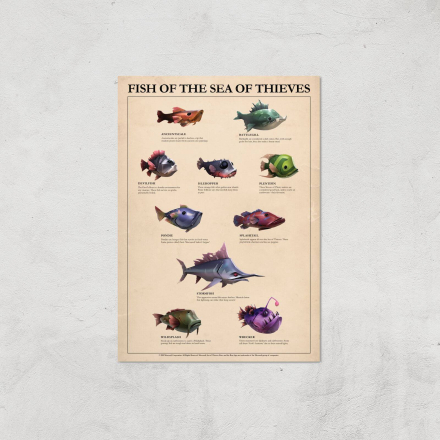Fish Of The Sea Of Thieves Giclee Art Print - A4 - Print Only