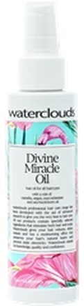 Divine Miracle Oil, 100ml