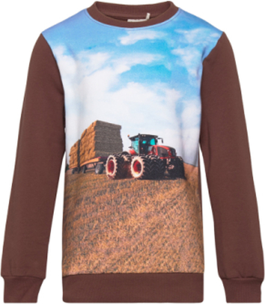 Sweatshirt Ls Tops Sweatshirts & Hoodies Sweatshirts Brown Minymo