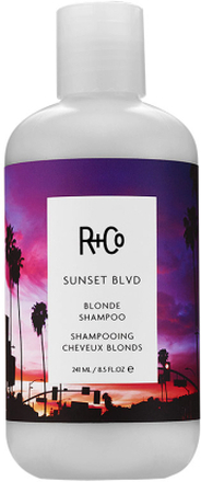 R+Co Sunset Blvd Blonde Shampoo 241ml