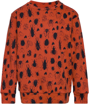 Sgbaptiste Bugs Sweatshirt Tops Sweatshirts & Hoodies Sweatshirts Orange Soft Gallery