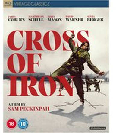 Cross of Iron (Vintage Classics)