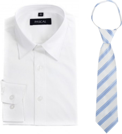 Hvit skjorte med blått slips