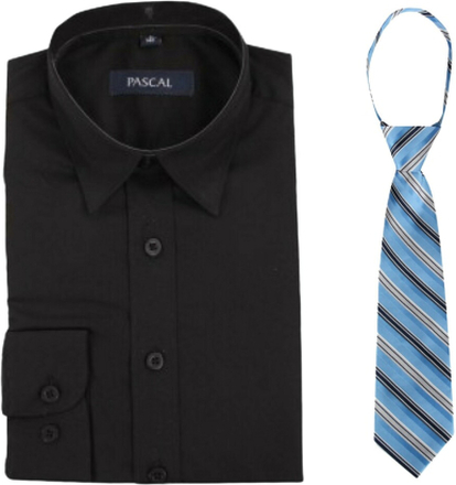 Svart skjorte med blått slips