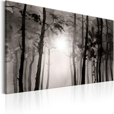 Canvas Tavla - Foggy Forest - 120x80