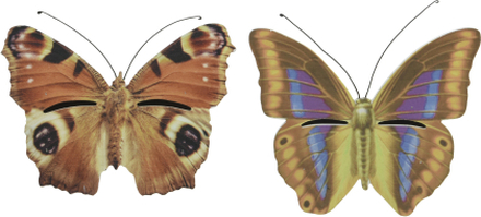 Set van 2x stuks bruin/geel en bruin/oranje vlinder insectenhotels 20 cm
