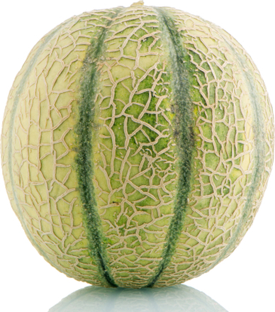 Melon lat. Cucumis melo 'Harvest King'