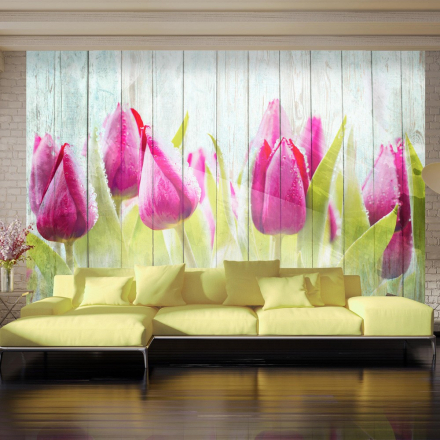 Fototapet - Tulips on white wood - 400 x 280 cm