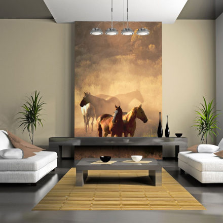 Fototapet - Vilde heste af steppe - 300 x 231 cm