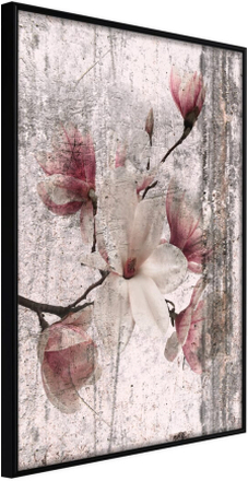 Plakat - Queen of Spring Flowers I - 40 x 60 cm - Sort ramme