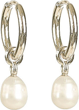 Treasure Pearl Hoops Silver Accessories Jewellery Earrings Hoops Silver Syster P