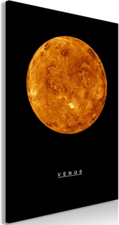 Billede - Venus Lodret - 60 x 90 cm