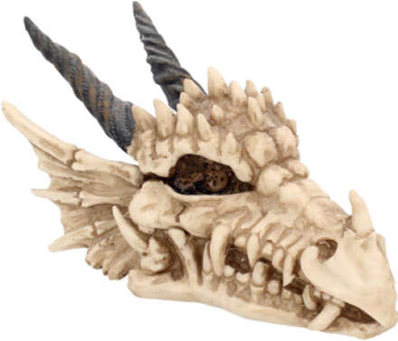 Dragons Skull Förvaringsbox 20 cm